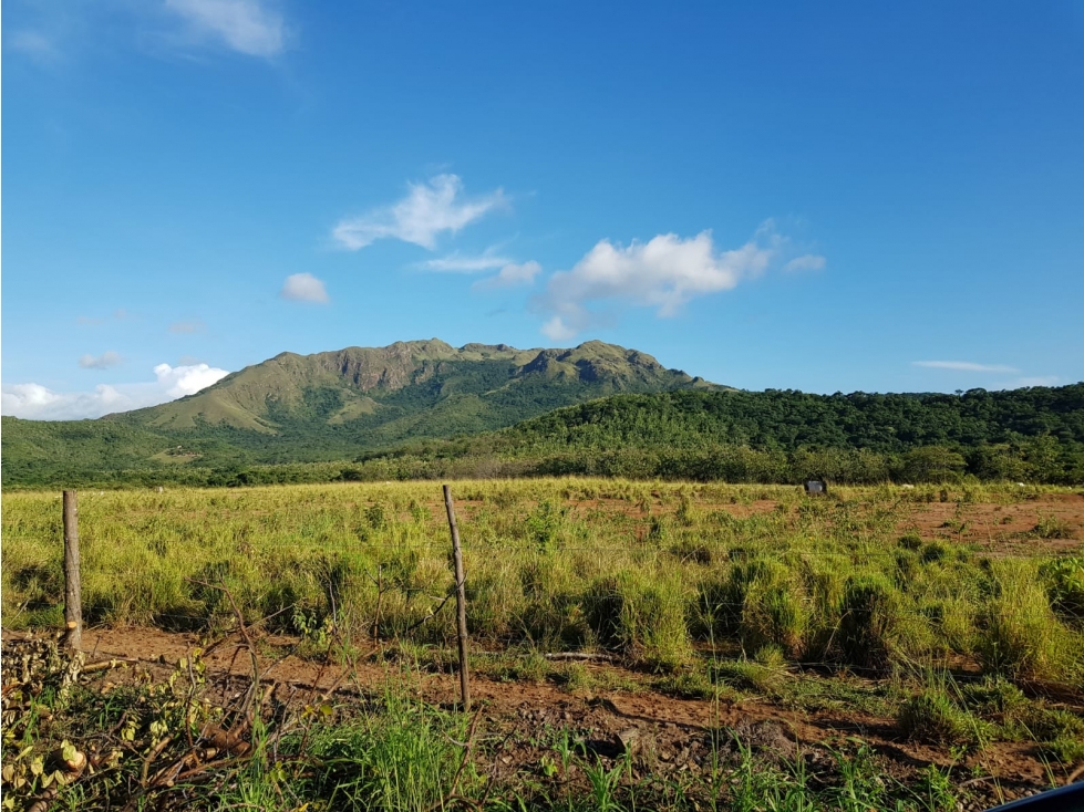 VENTA DE LOTE EN CORONADO PUNTA CHAME - TERRENO DE 50.3 HECTAREAS YL