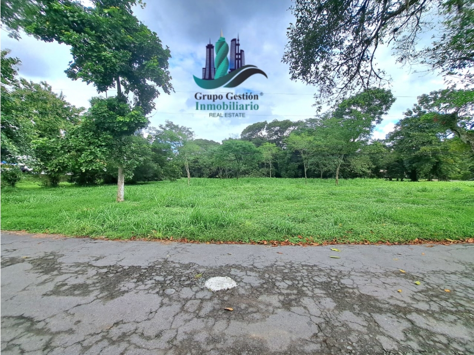 VENTA DE TERRENO DE 9,000 M2 DAVID - 4