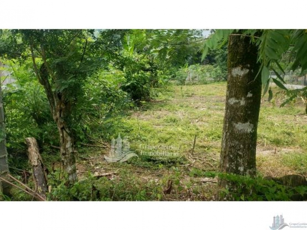VENDO LOTE EN CHIRIQUI LA MATA DE BUGABA - 5