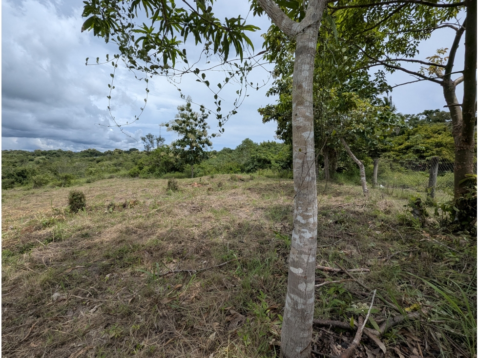 VENTA TERRENO NEGOCIABLE RIO HATO - 3