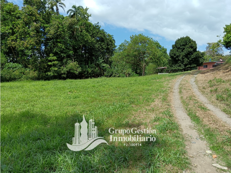 Vendo Lote en Interamericana en Santa Marta Bugaba Chiriqui - 4