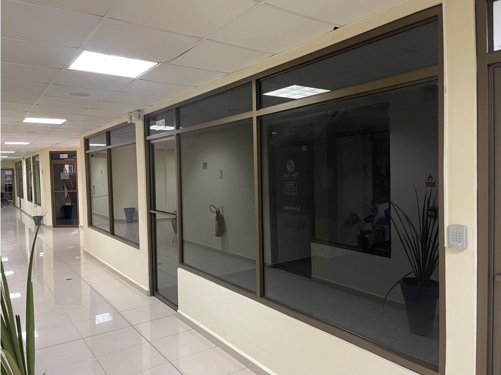 Local Oficina Comercial en David Plaza Coopeve - 4