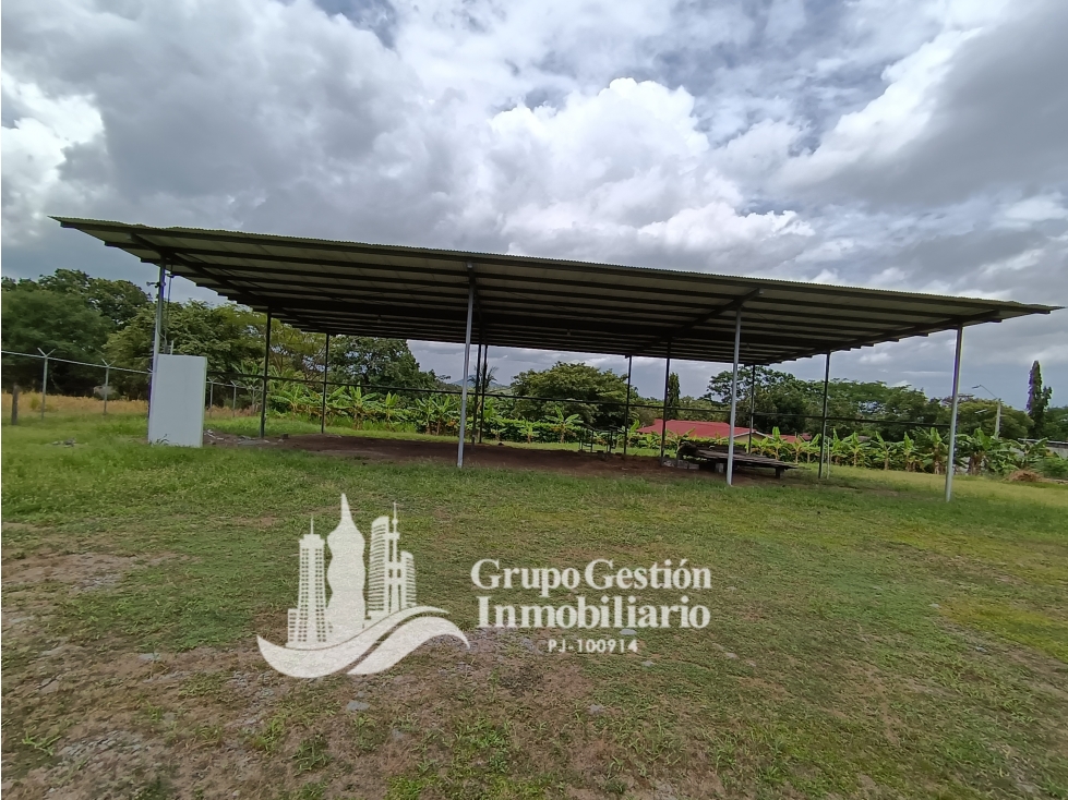 Se alquila Galera en David Chiriqui — foto 4