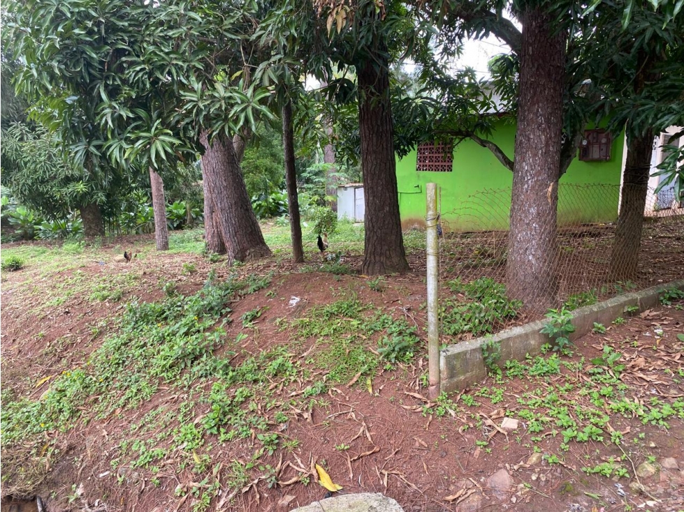Vendo Remato Local comercial con apartamentos en Chorrera - 6