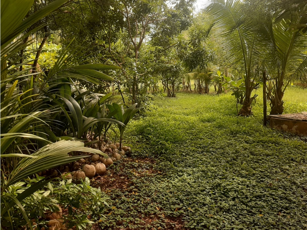 VENTA DE TERRENO EN LA PLAYA EL ROMPIO - 4