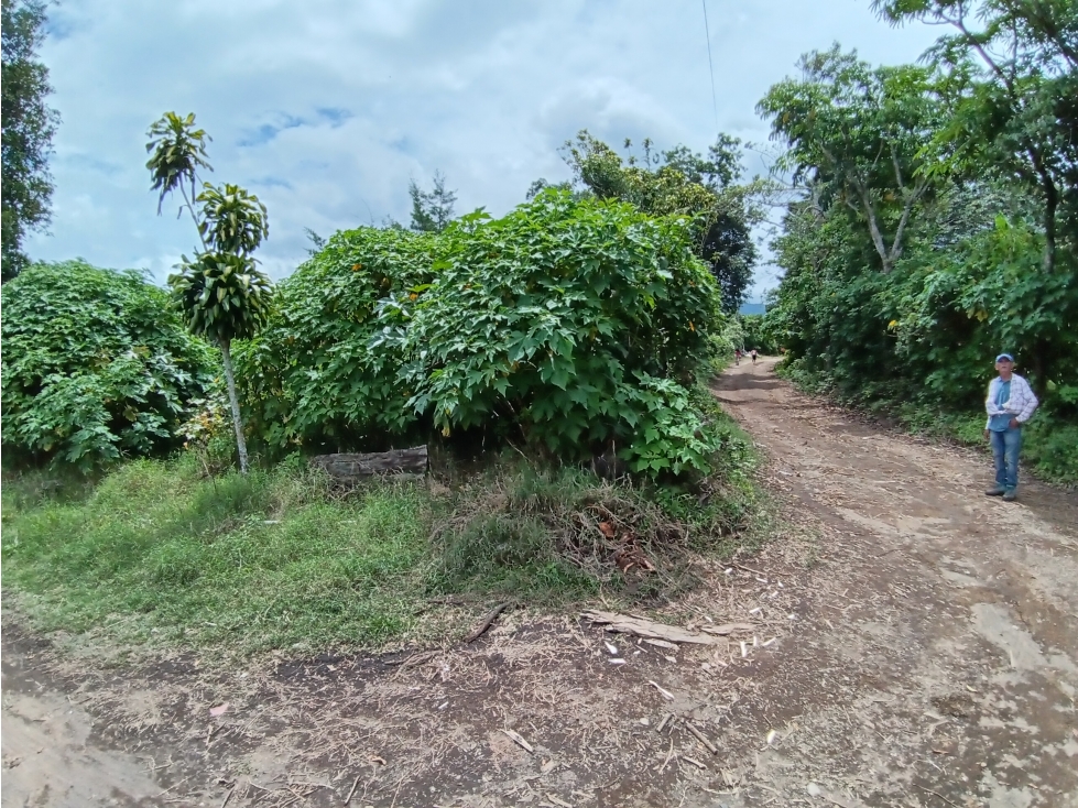 Vendo hermoso Lote con hermosa vista Palmira Boquete #5 — foto 4