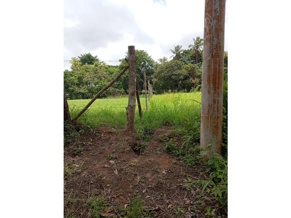 VENTA DE TERRENO EN ANTON 1000 MTS2 - 4