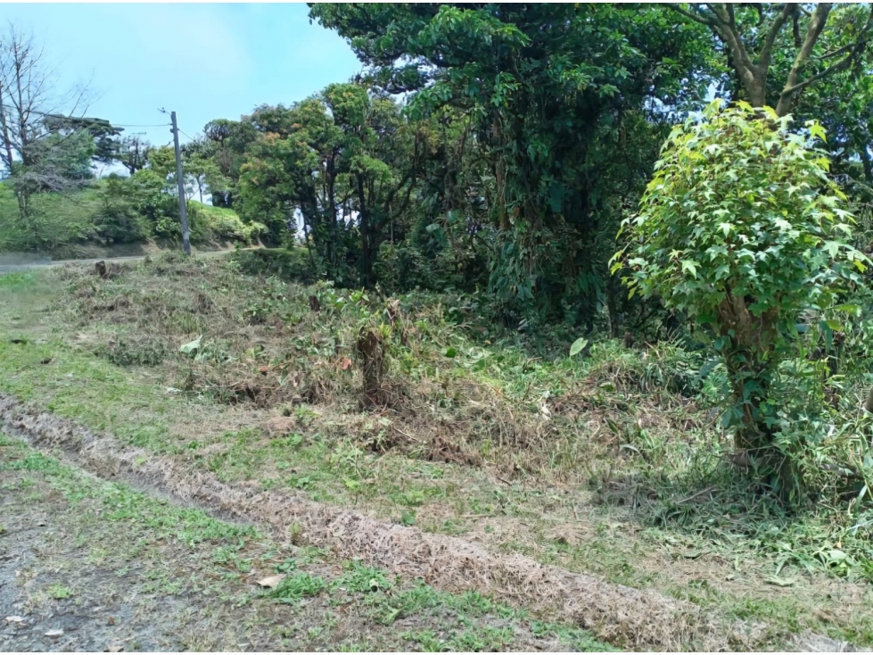 VENTA LOTE ALTOS DEL MARIA 3367 M2 ULTIMO PRECIO CV — foto 6