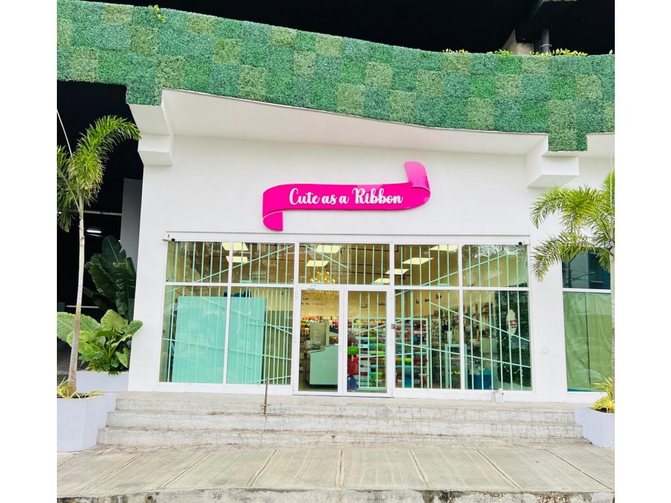 ALQUILER LOCAL COMERCIAL BELLA VISTA 97MTRS EV — foto 2