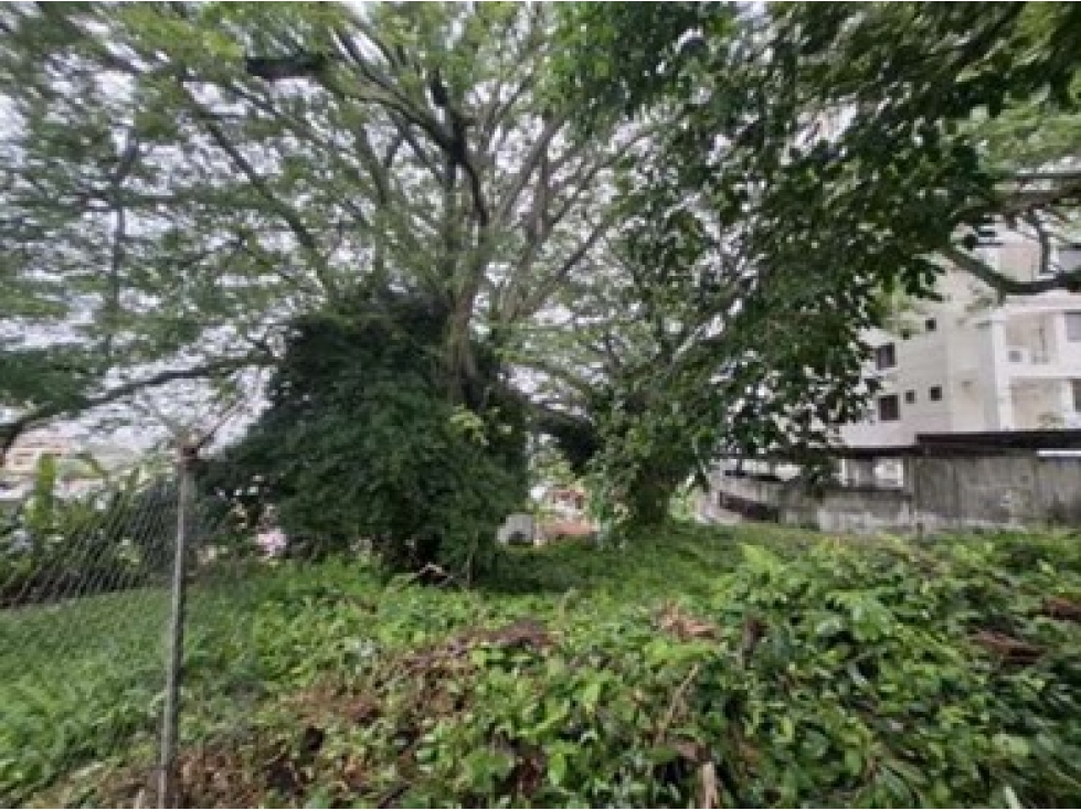 VENTA DE LOTE REBAJADO EN HATO PINTADO Z1R3 MYP — foto 3