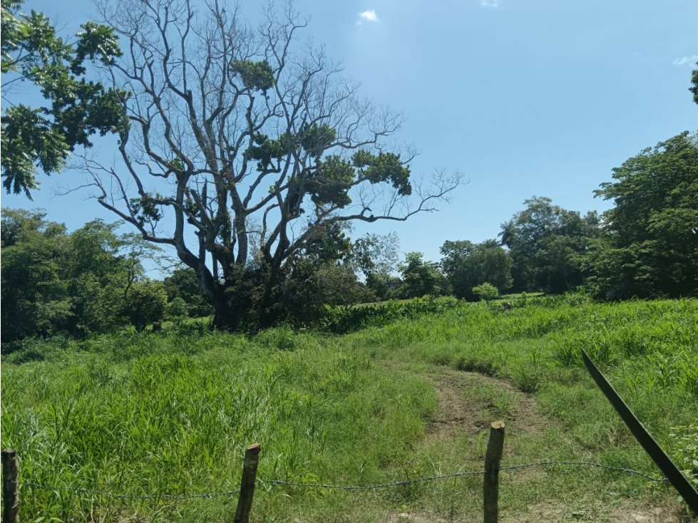 SE VENDE LOTE EN ALANJE, 137,000.00, CHIRIQUI, ZONA CON GRAN POTENCIAL - 4
