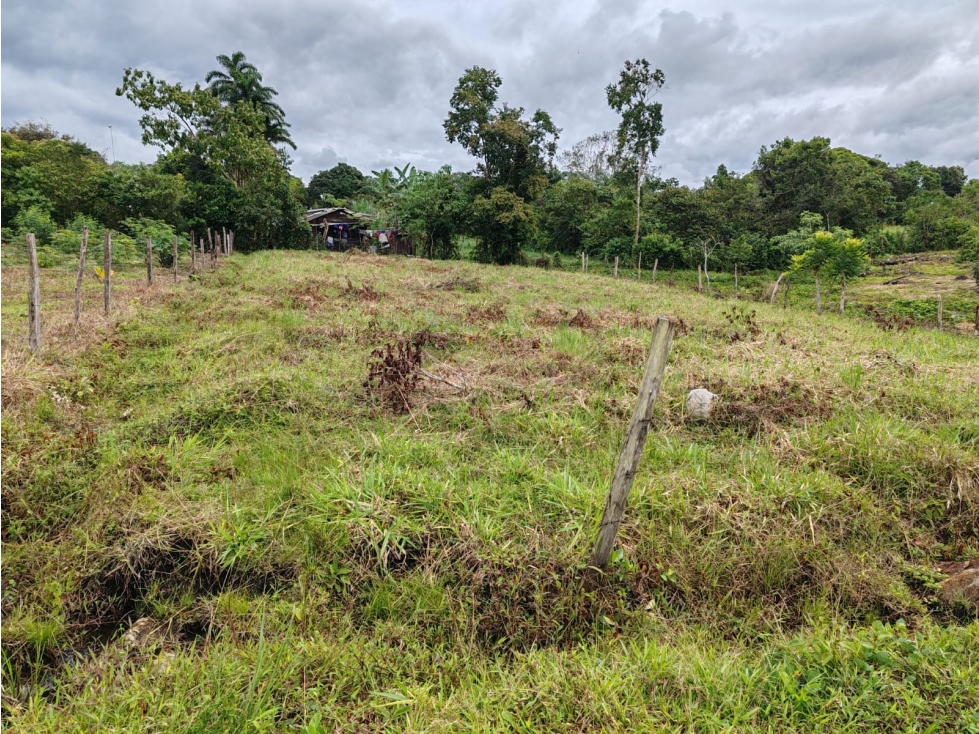 VENTA DE LOTE EN AGUACATE DISTRITO DE BOQUERON CLIMA AGRADABLE - 4