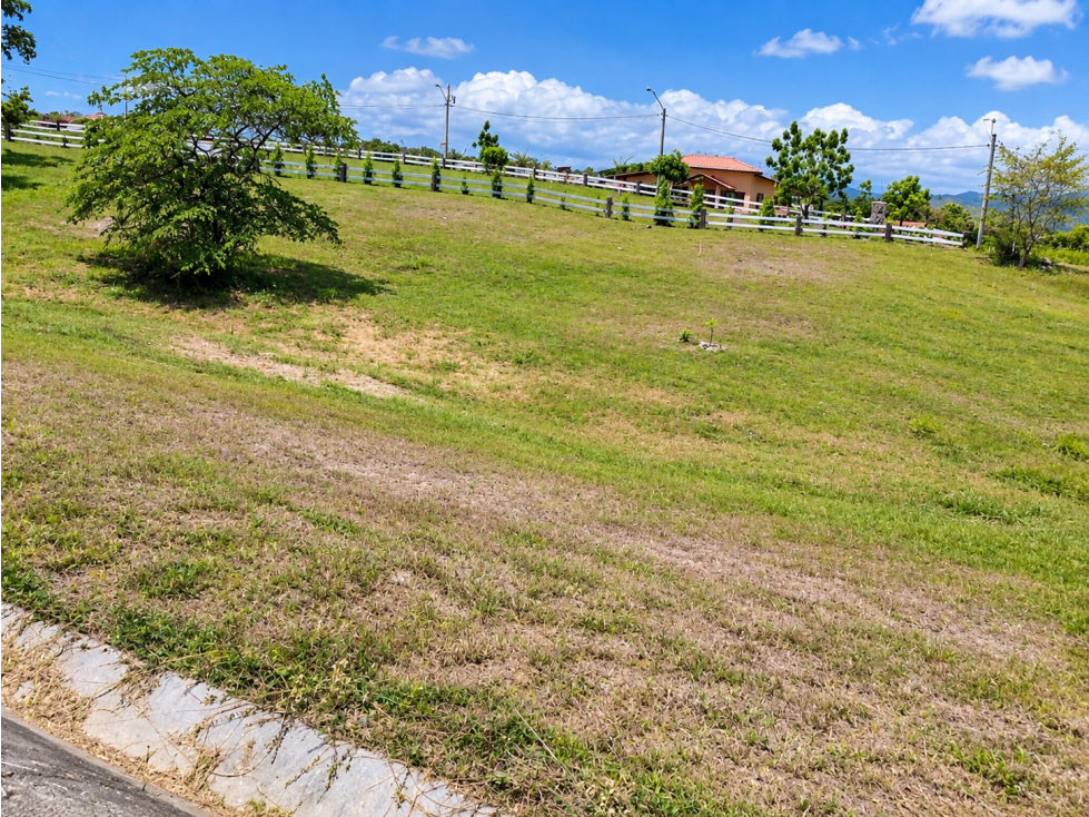 VENTA LOTE CHAME 1,232.22 m² DE TERRENO PLANO CON PISCINA CV - 4