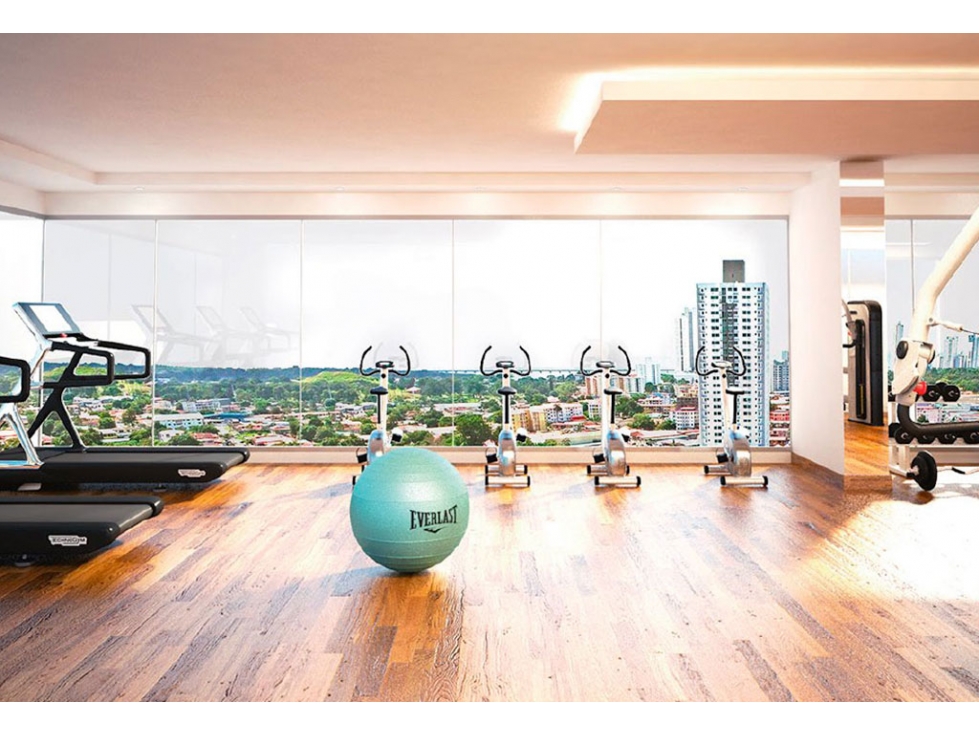 APARTAMENTO Y HERMOSA VISTA PH ALTO RIO - 3