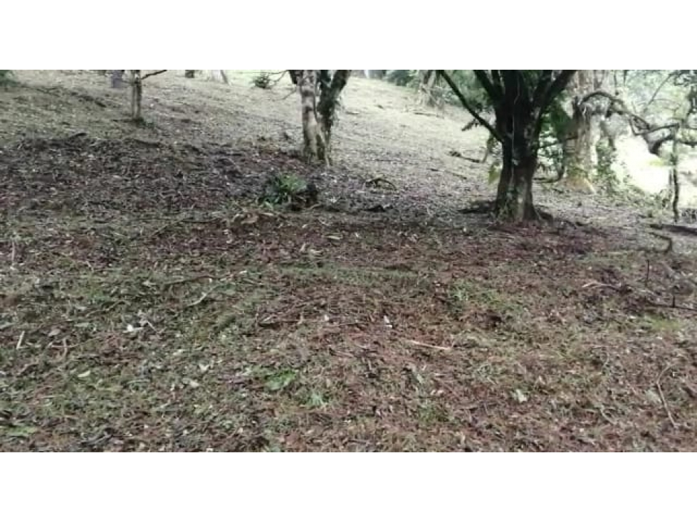 VENDO 2 LOTES ALTOS DEL MARÍA SECTOR SANTIAGO APÓSTOL 1225M2. $35M2 cv - 3