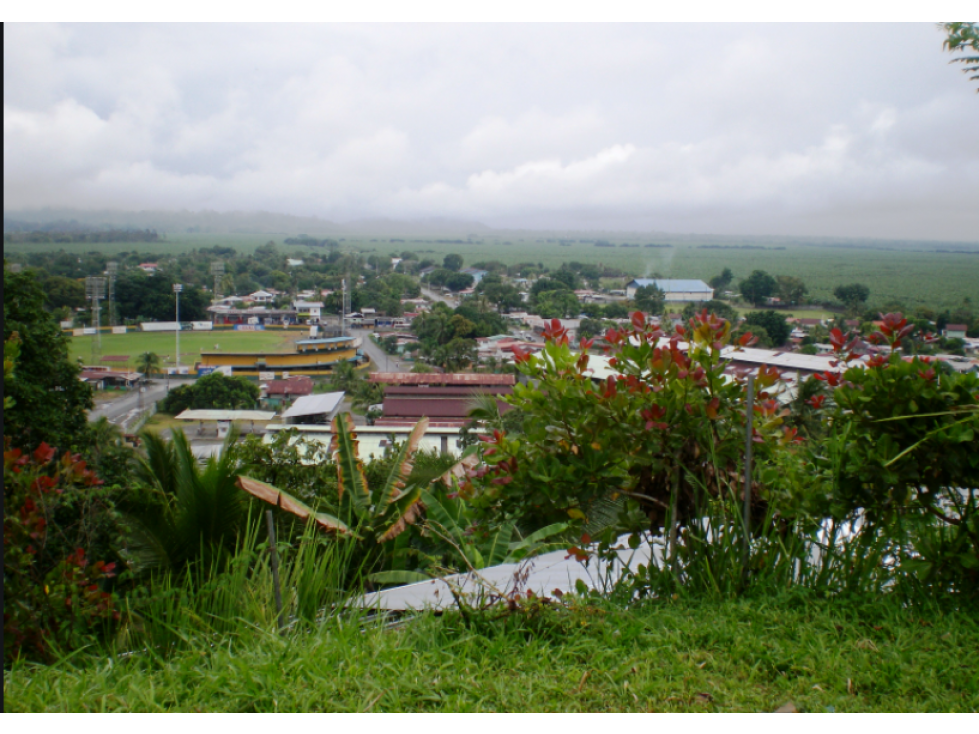TERRENO DE 79.3 HAS CON QUEBRADA EN CHANGUINOLA, BOCAS DEL TORO - 6