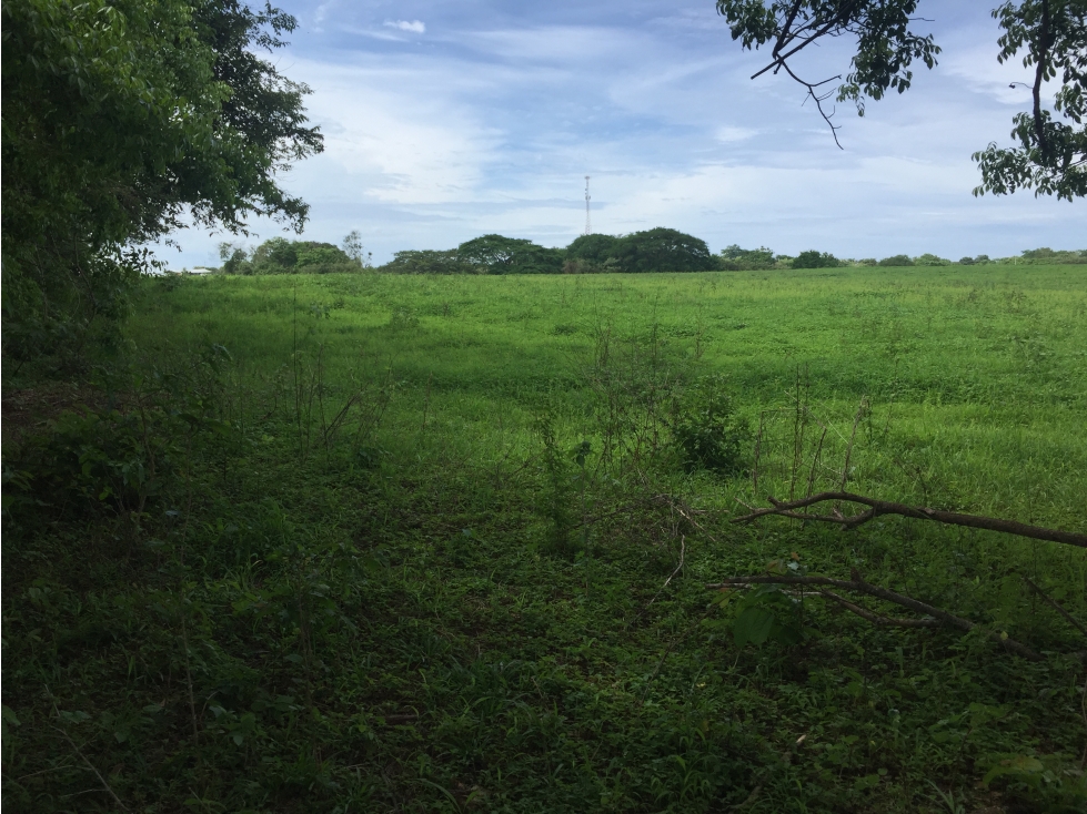 VENDO TERRENO DE 9.5 HECTARES EN GUARARE, LOS SANTOS - 1
