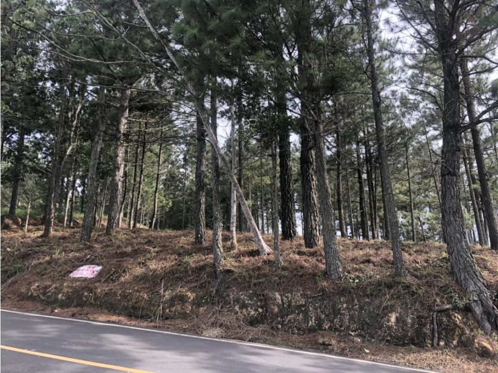 SE VENDE TERRENO EN ALTOS DEL MARIA MIRADOR DEL PACIFICO - 5
