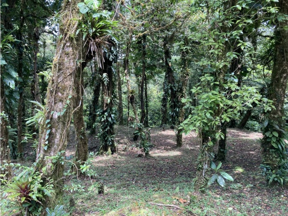 SE VENDE TERRENO EN ALTOS DEL MARIA UBICADO EN LA RIOCA 2237 m2 - 5