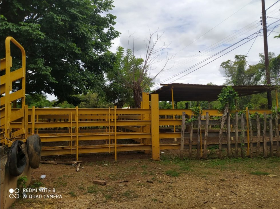 FINCA EN LOS SANTOS, LA PEÑA 9750 MTS2 - 5