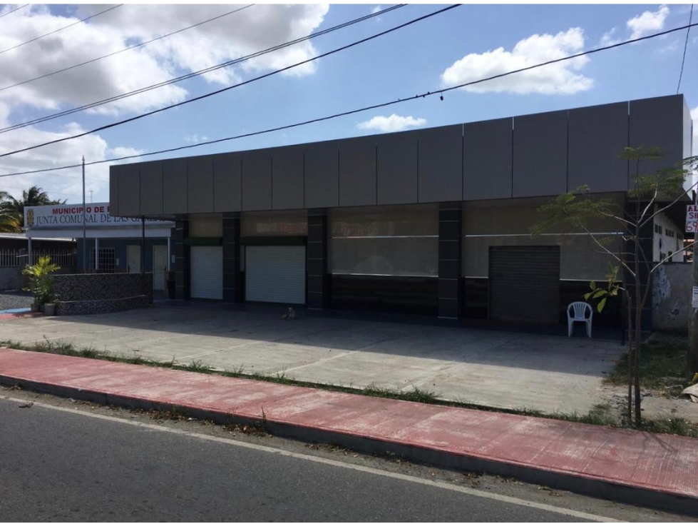 LOCAL DE 100M2, EN VIA PRINCIPAL DE LAS GARZAS, PACORA - 1