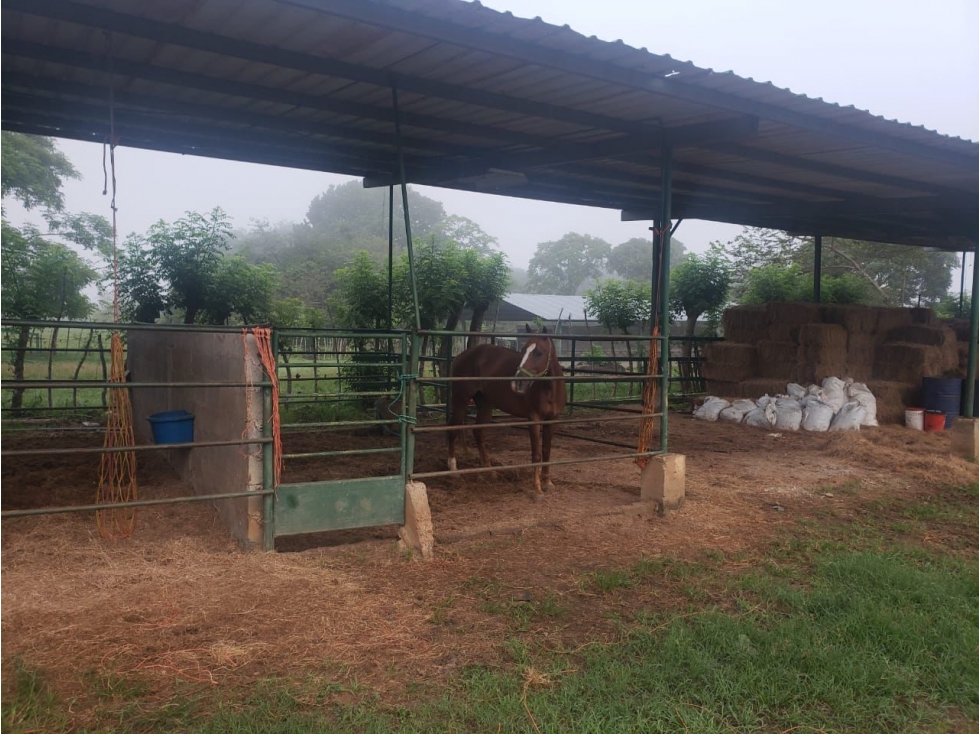 VENDO 1110 HECTAREAS EN VERAGUAS, OPORTUNIDAD ÚNICA - 4