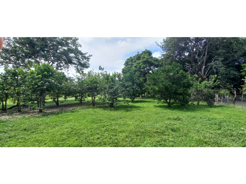 VENTA DE TERRENO CON 6,000 M2 EN COCLE - AGUAS BLANCAS - 2