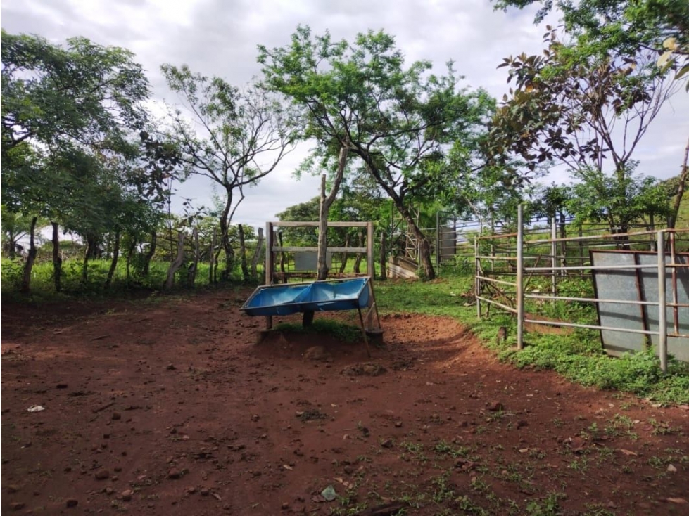 VENTA DE TERRENO EN VERAGUAS PARA GANADERIA - 4