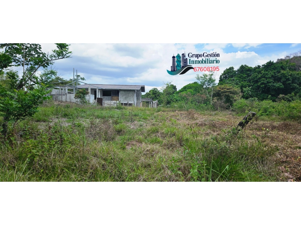 VENDO LOTE DE 600 METROS - 4