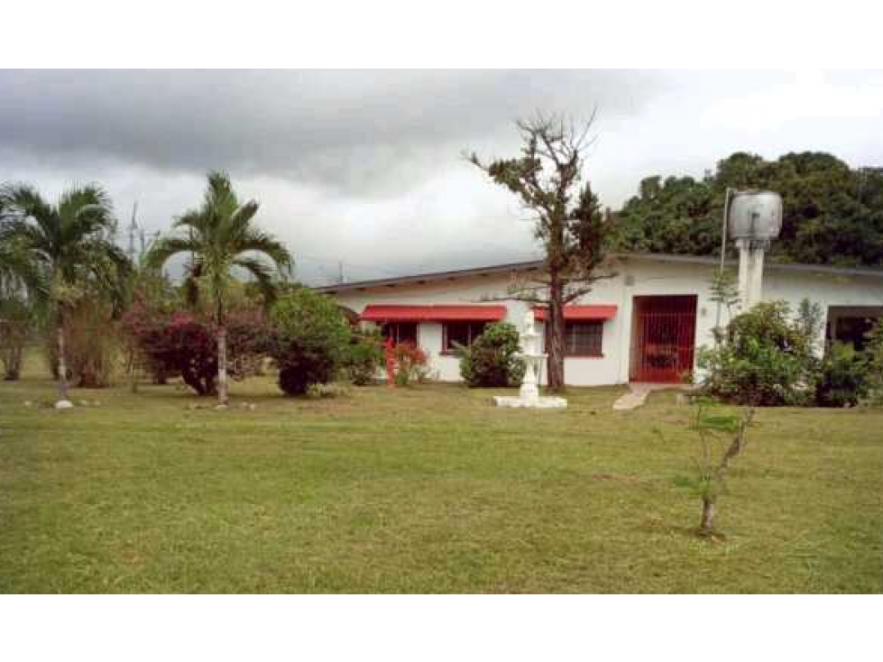 VENTA DE FINCA EN RÍO HATO, ANTÓN ÚNICA OPORTUNIDAD - 5