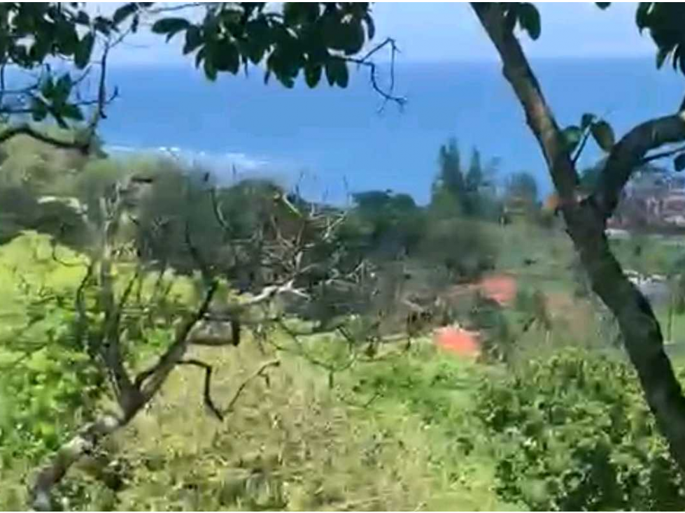 VENTA DE FINCA GANADERA EN COLÓN MARIA CHIQUITA, HERMOSA Y OPERATIVA - 4