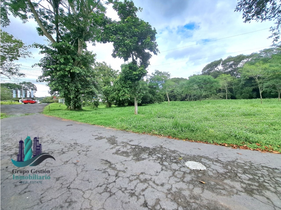 VENTA DE TERRENO DE 9,000 M2 DAVID - 5