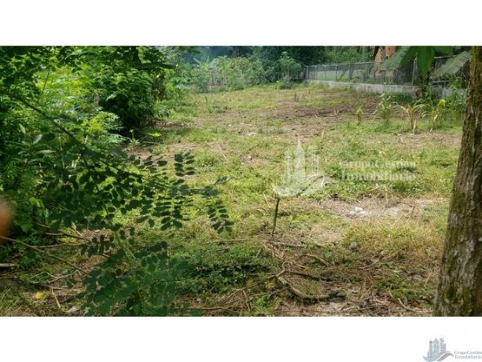 VENDO LOTE EN CHIRIQUI LA MATA DE BUGABA - 6
