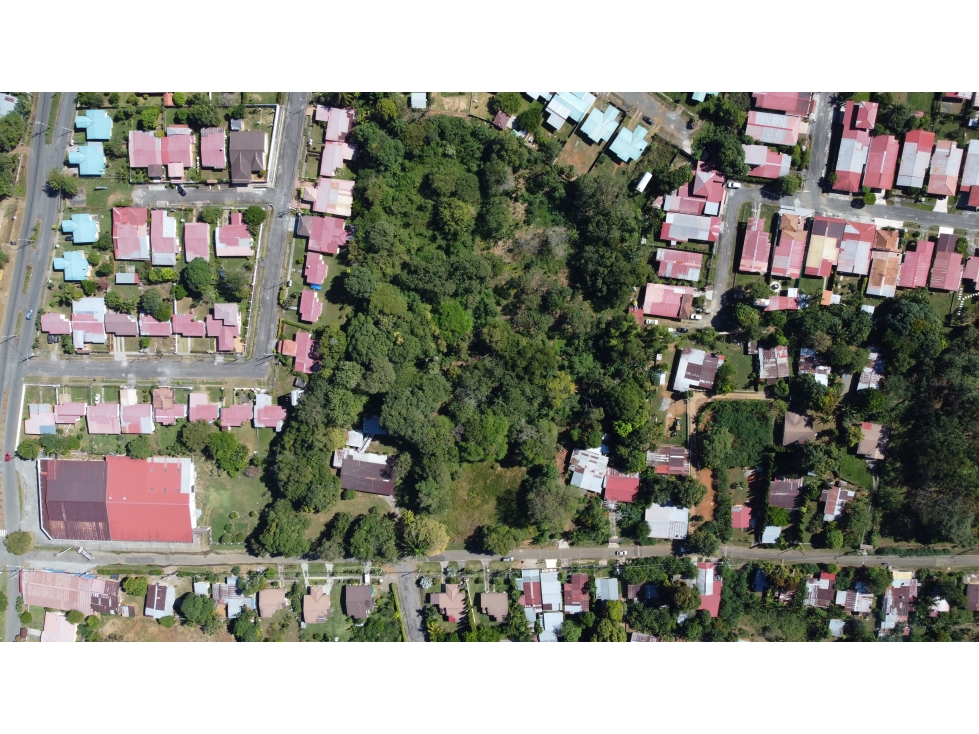 VENDO UNA HECTAREA + 9500 MTS ALGARROBOS - 5