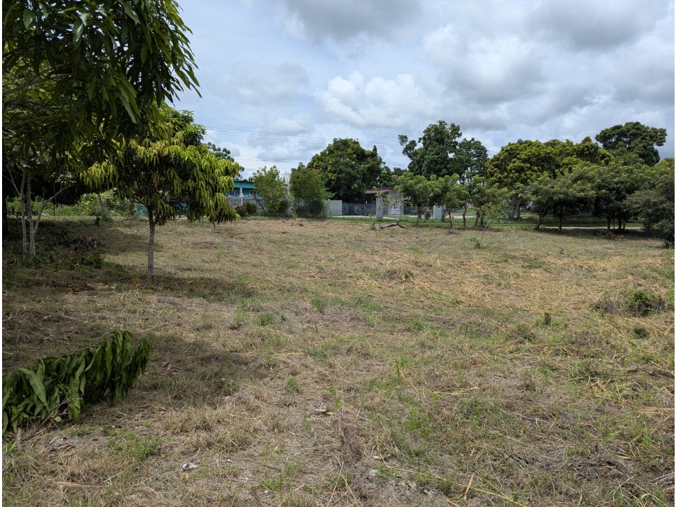 VENTA TERRENO NEGOCIABLE RIO HATO - 1