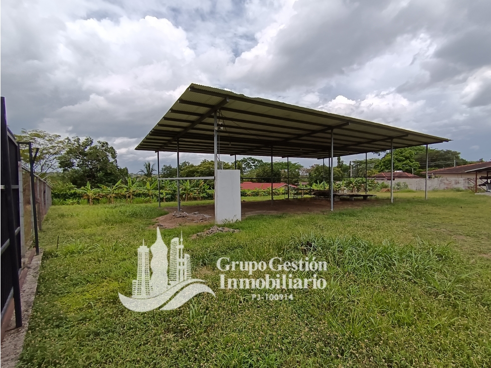 Se alquila Galera en David Chiriqui — foto 5