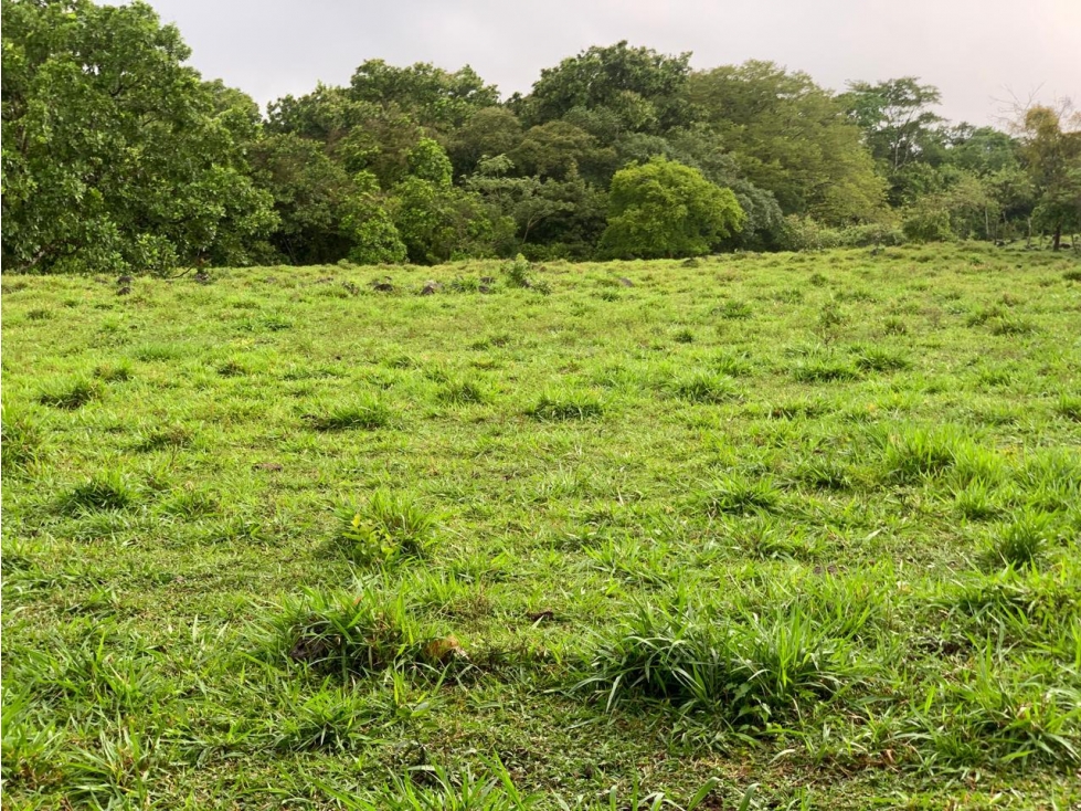 Vendo Finca en Tinajas de Dolega - 5