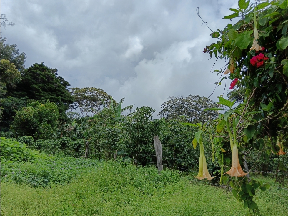 Vendo Lote en Palmira distrito de Boquete #2 — foto 5