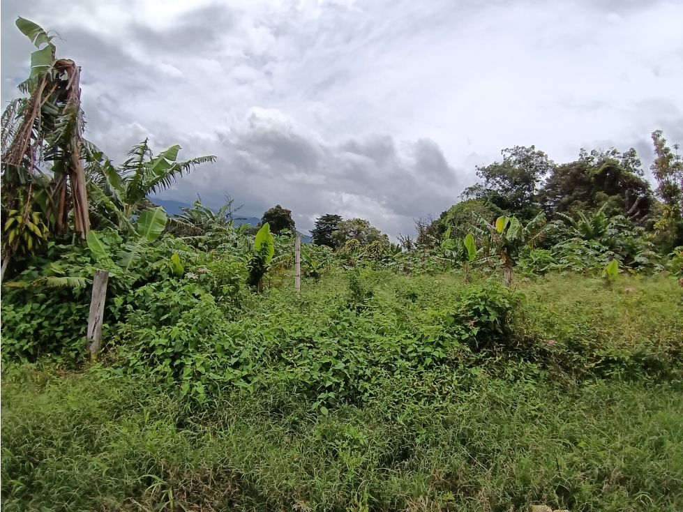 Vendo hermoso Lote con hermosa vista Palmira Boquete #5 — foto 5
