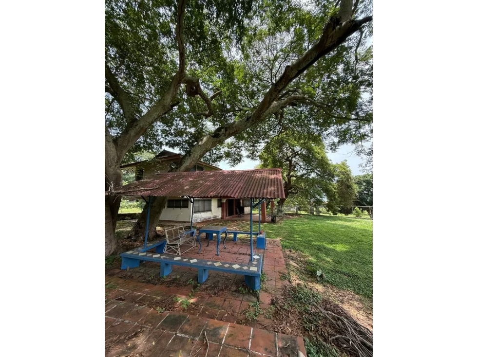 VENTA FINCA NUEVA GORGONA 15816M2 CERCA DE LA PLAYA MLD — foto 6