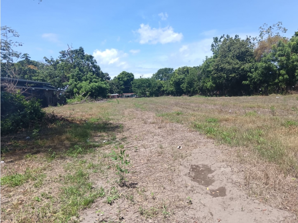 SE VENDE LOTE EN ALANJE, 137,000.00, CHIRIQUI, ZONA CON GRAN POTENCIAL - 5