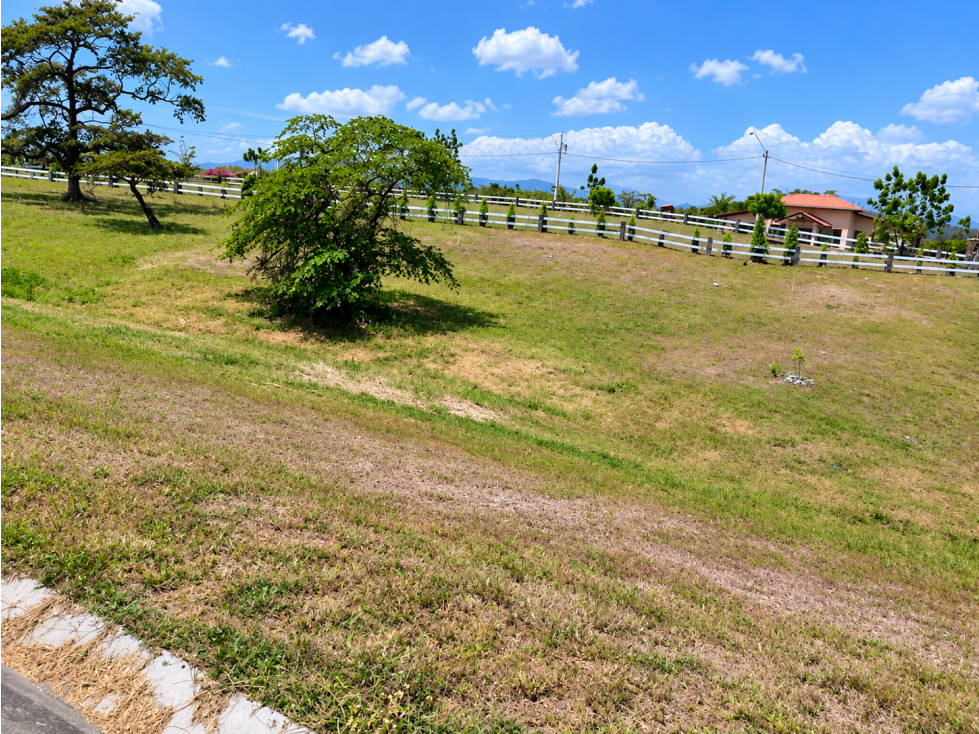 VENTA LOTE CHAME 1,232.22 m² DE TERRENO PLANO CON PISCINA CV - 5