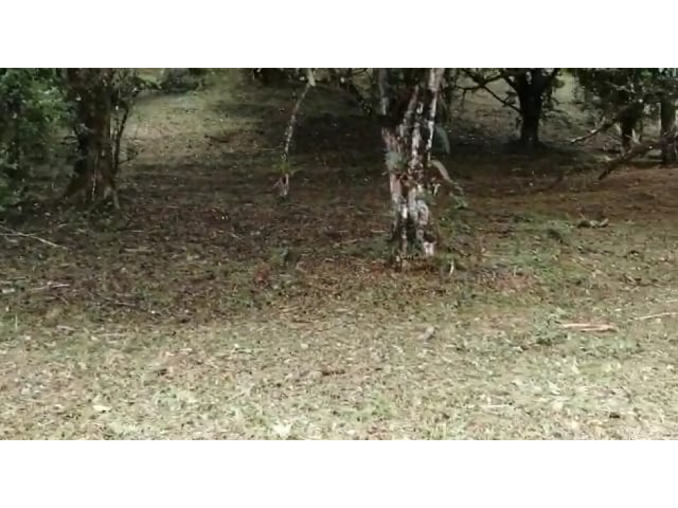 VENDO 2 LOTES ALTOS DEL MARÍA SECTOR SANTIAGO APÓSTOL 1225M2. $35M2 cv - 4