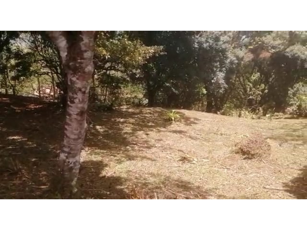 VENDO 2 LOTES ALTOS DEL MARÍA SECTOR SANTIAGO APÓSTOL 1225M2. $35M2 cv - 5