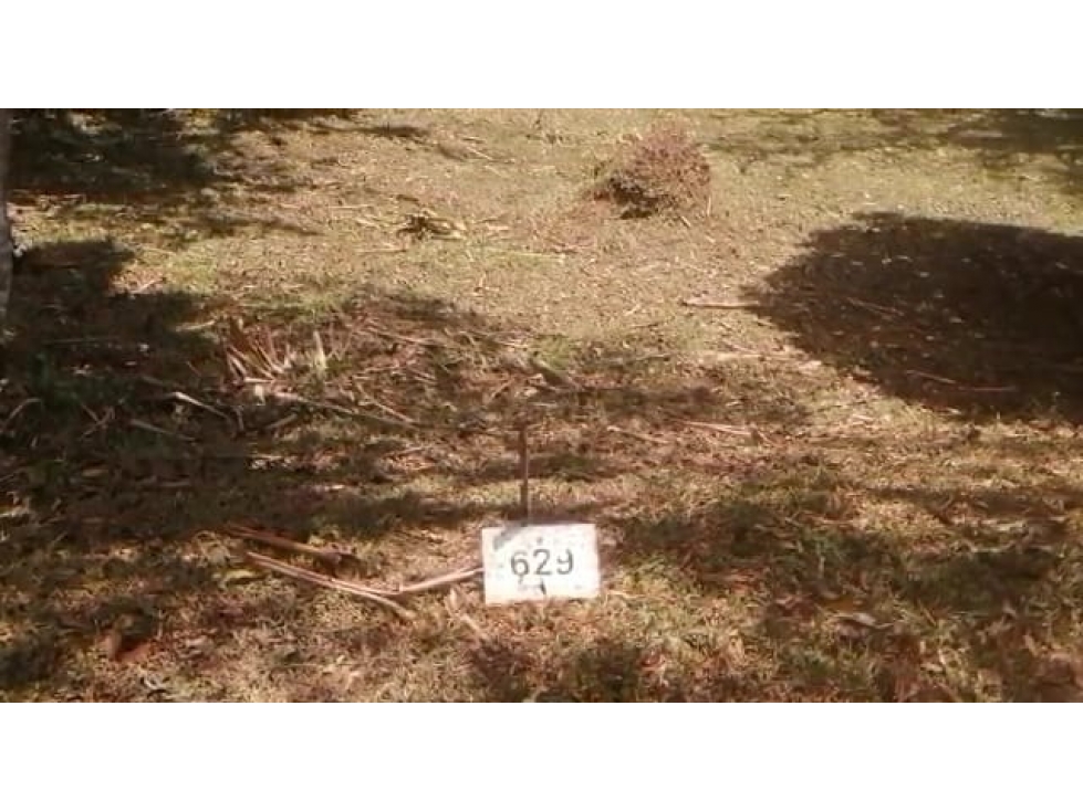 VENDO 2 LOTES ALTOS DEL MARÍA SECTOR SANTIAGO APÓSTOL 1225M2. $35M2 cv - 6