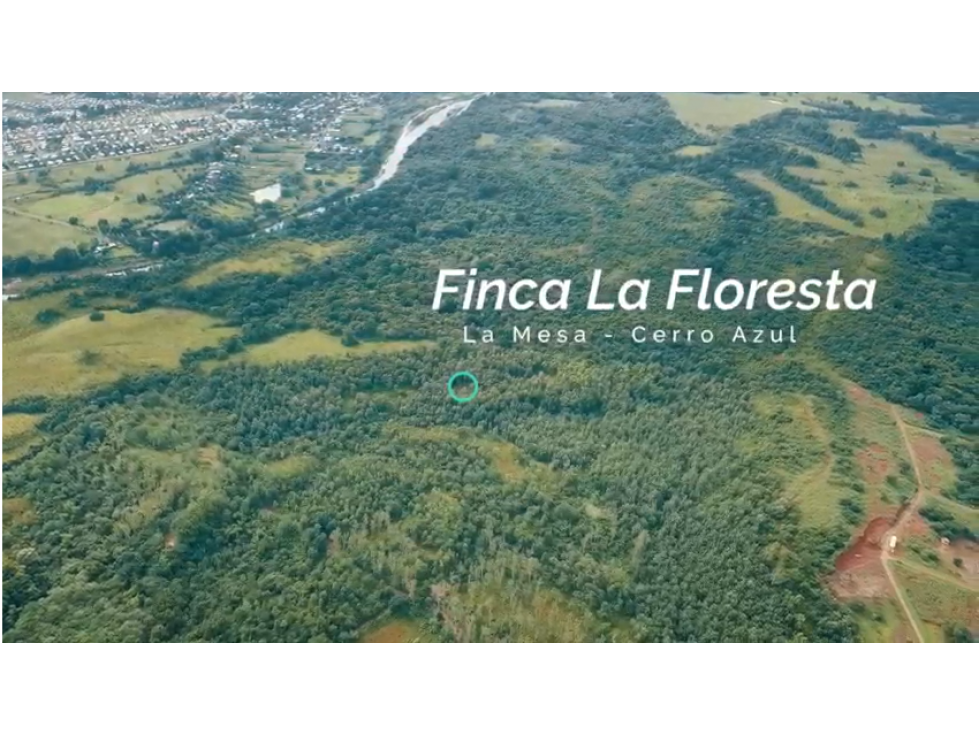 FINCA DE 77 HECTAREAS EN PANAMA OESTE, LA MESA - 6