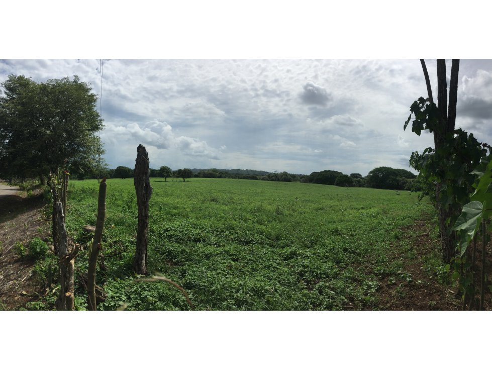 VENDO TERRENO DE 9.5 HECTARES EN GUARARE, LOS SANTOS - 3