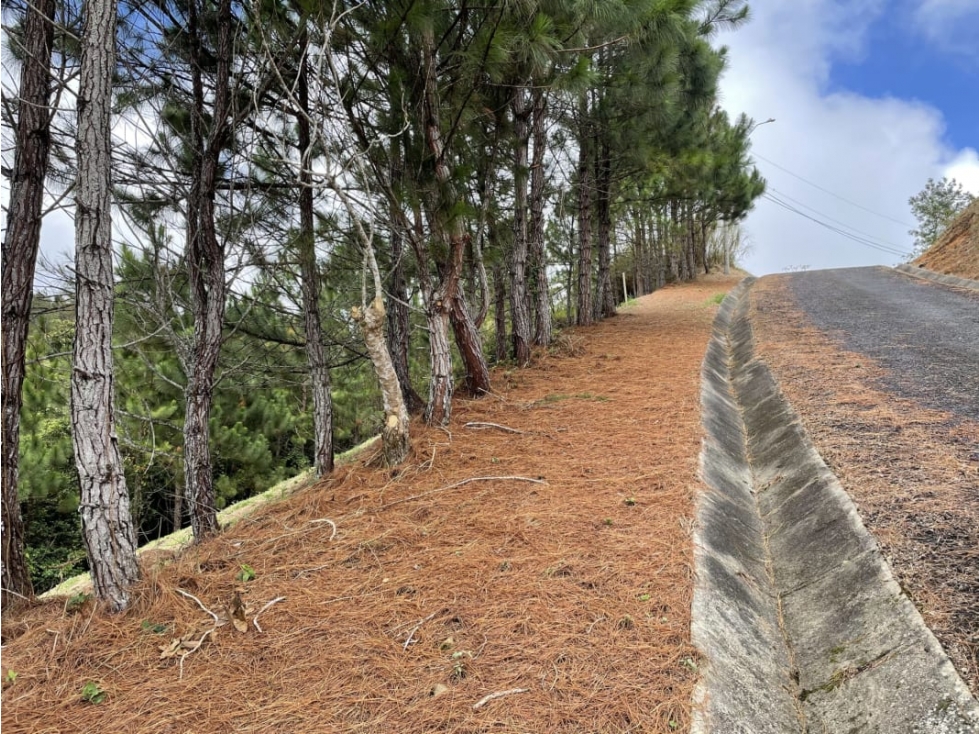 SE VENDE TERRENO EN ALTOS DEL MARIA POR BUENA VISTA 3828 M2 - 2