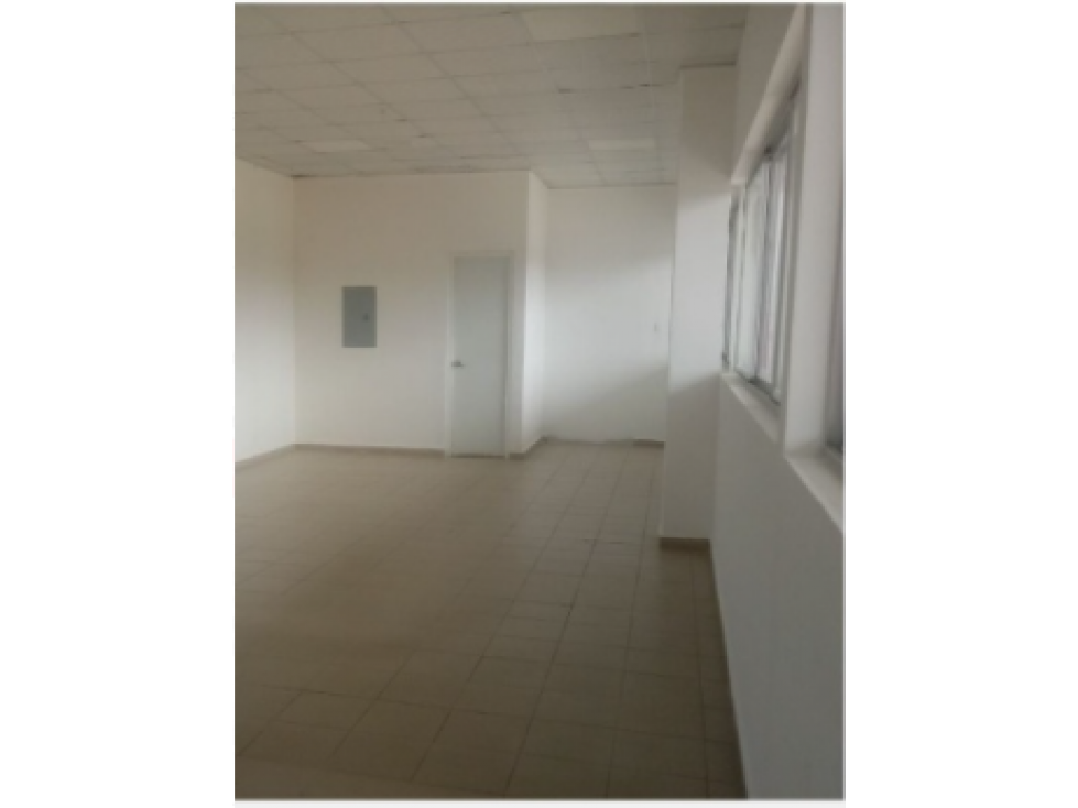 OFICINA DE 62M2, C.C. DESIGN PLAZA DAVID - 1