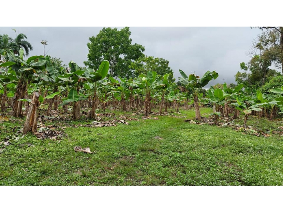 VENDO TERRENO 6220 M2 EN PRODUCCION BOQUERON - 6